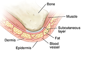 Closeup of bone, muscle, and skin.